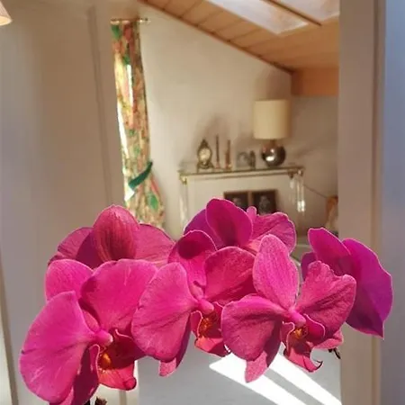 Ferienwohnung Peschke *